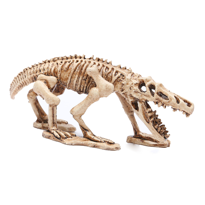 Khung xương khủng long 