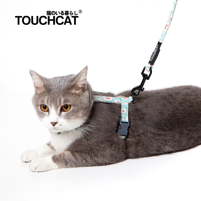 Vòng yếm và dây dẫn Touchcat cho mèo dưới 8kg 