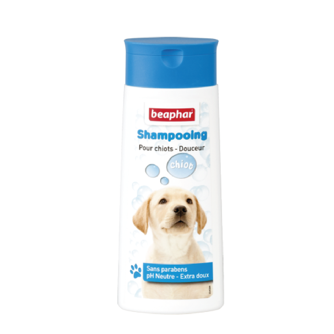 Sữa tắm cho chó con Beaphar shampoo bubble puppy 250ml