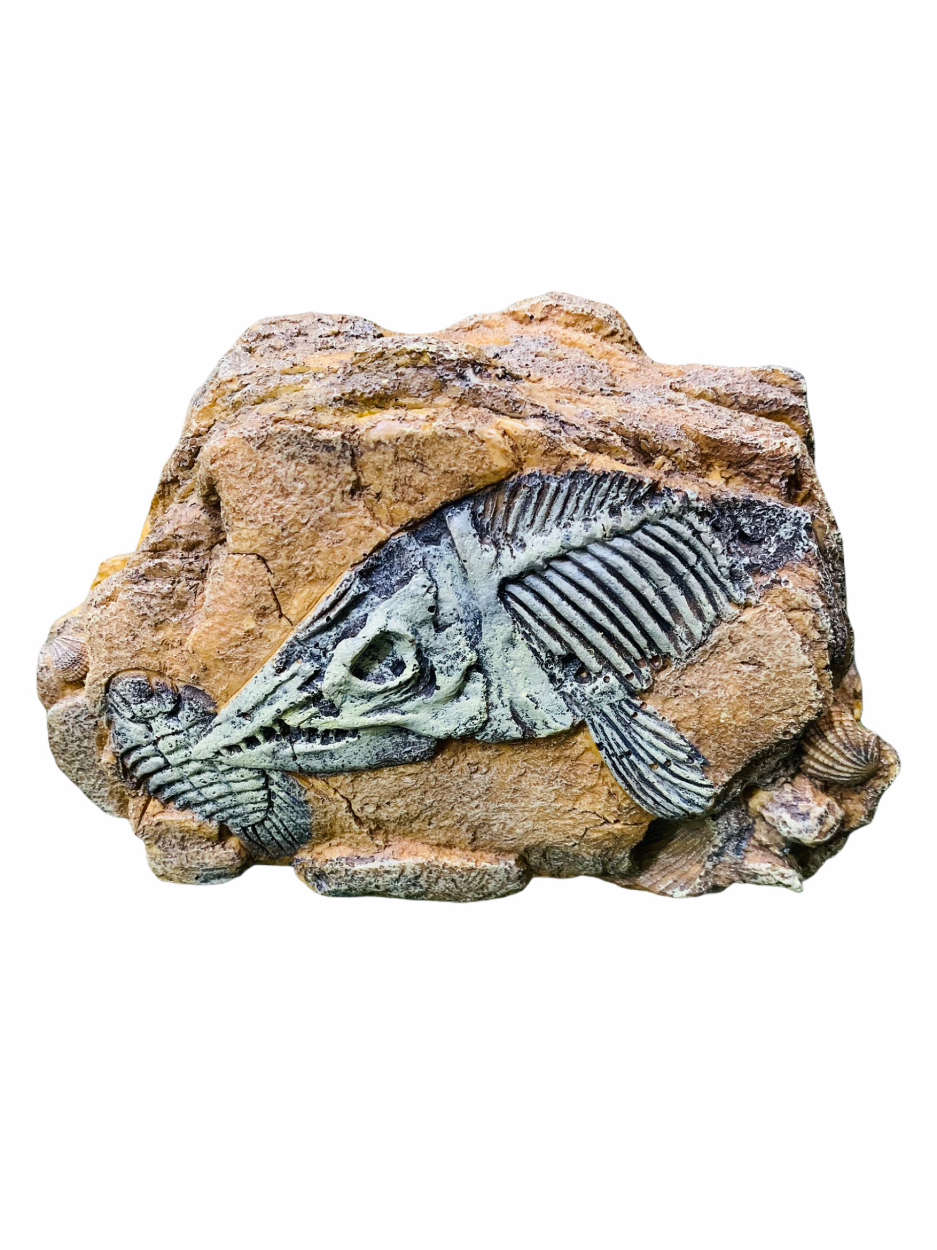 Hang hóa thạch cá 